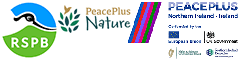 RSPB PeacePlus Nature