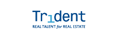 Trident International Associates